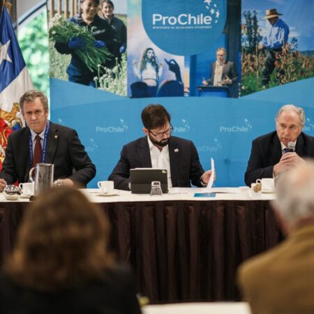 Boric ante empresarios de la APEC: «el proceso constitucional se acaba este año»