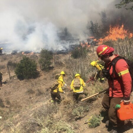 Conaf pide “penas máximas” contra culpables del megaincendio de Valparaíso
